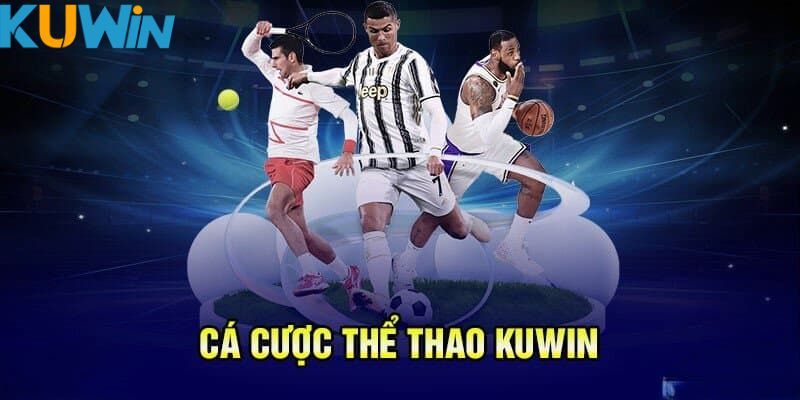 Các sảnh thể thao siêu hot độc quyền tại Kuwin