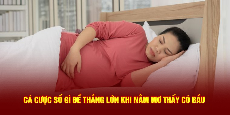 Cá cược số gì để thắng lớn khi nằm mơ thấy có bầu