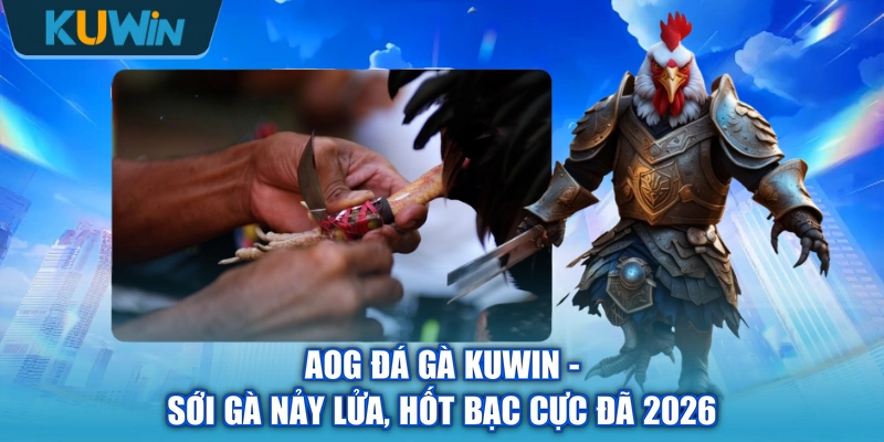 AOG Đá Gà KUWIN - Sới Gà Nảy Lửa, Hốt Bạc Cực Đã 2026