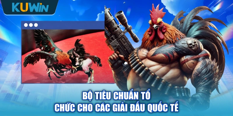 Bộ tiêu chuẩn tổ chức cho các giải đấu quốc tế