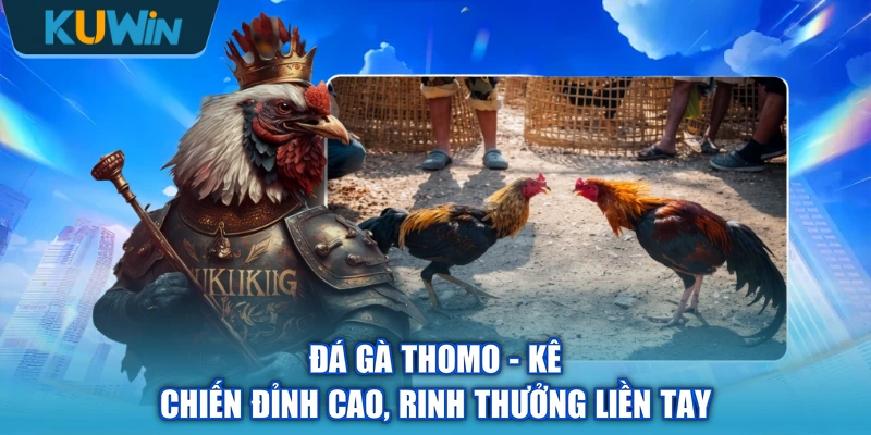 Đá Gà Thomo - Kê Chiến Đỉnh Cao, Rinh Thưởng Liền Tay