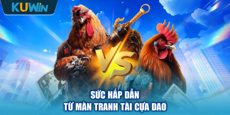 Sức hấp dẫn từ màn tranh tài cựa dao