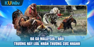Đá Gà Malaysia - Đấu Trường Nảy Lửa, Nhận Thưởng Cực Nhanh
