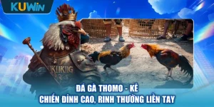 Đá Gà Thomo - Kê Chiến Đỉnh Cao, Rinh Thưởng Liền Tay